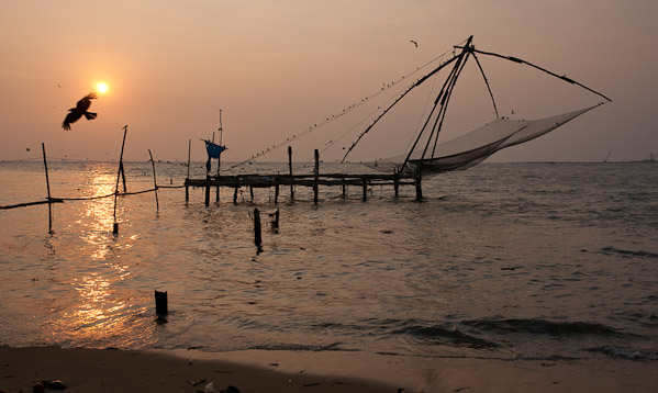 India_JanFeb_10_Cochin_7315.jpg - 20x36 canvas.  Chinese Fishing Nest, Cochin, India