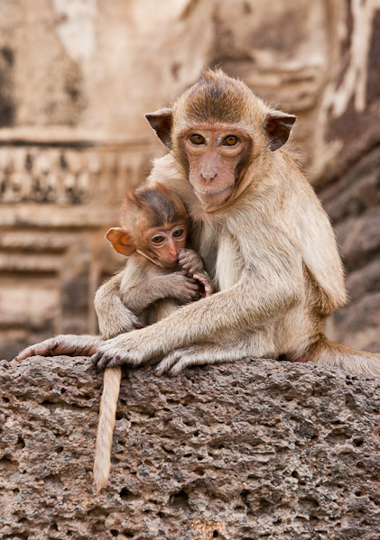 Thailand_OctNovDec_2010_Lopburi_6977.jpg - Madonna and Child  Phra Prang Sam Yod, Lopburi, Thailand