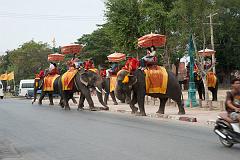 Thailand_OctNovDec_2010_Ayutthaya_6194