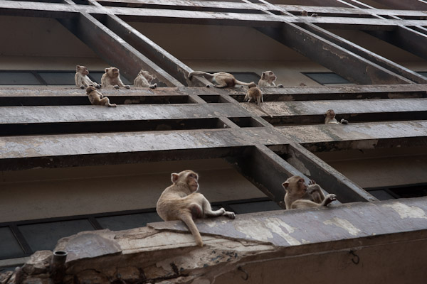 Thailand_OctNovDec_2010_Lopburi_6869.jpg - Stadium seats around the temple