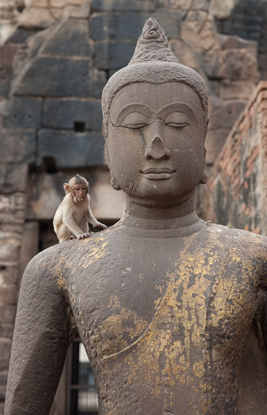Thailand_OctNovDec_2010_Lopburi_7024.jpg