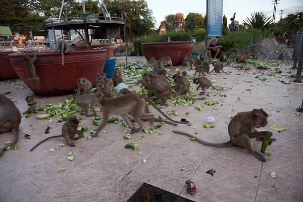 Thailand_OctNovDec_2010_Lopburi_7251.jpg