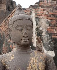 Thailand_OctNovDec_2010_Lopburi_7020