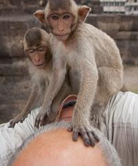 Thailand_OctNovDec_2010_Lopburi_7068