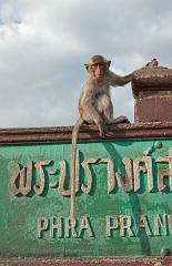 Thailand_OctNovDec_2010_Lopburi_7116