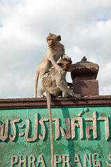 Thailand_OctNovDec_2010_Lopburi_7119