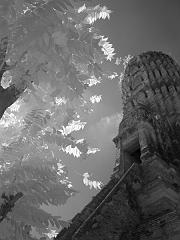 Thailand_OctNovDec_2010_Ayutthaya_Infrared_2597