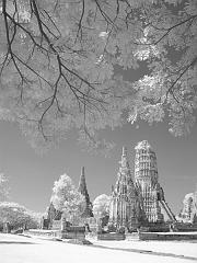 Thailand_OctNovDec_2010_Ayutthaya_Infrared_2608