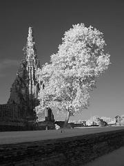 Thailand_OctNovDec_2010_Ayutthaya_Infrared_2639