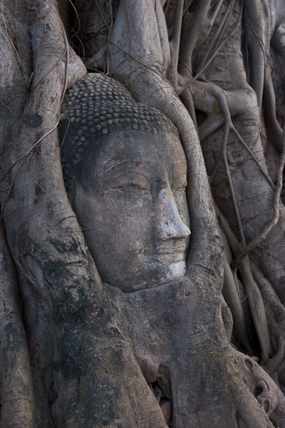 Thailand_OctNovDec_2010_Ayutthaya_6102.jpg