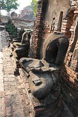 Thailand_OctNovDec_2010_Ayutthaya_6116