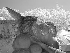 Thailand_OctNovDec_2010_Ayutthaya_Infrared_2619