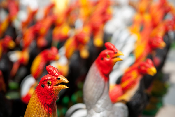 Thailand_Ayutthaya_OctNovDec_2010_7299.jpg - Chicken statue.  There were hundreds.  Some kind of offering?