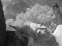 Thailand_OctNovDec_2010_Ayutthaya_Infrared_2657