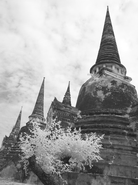 Thailand_OctNovDec_2010_Ayutthaya_Infrared_2554.jpg