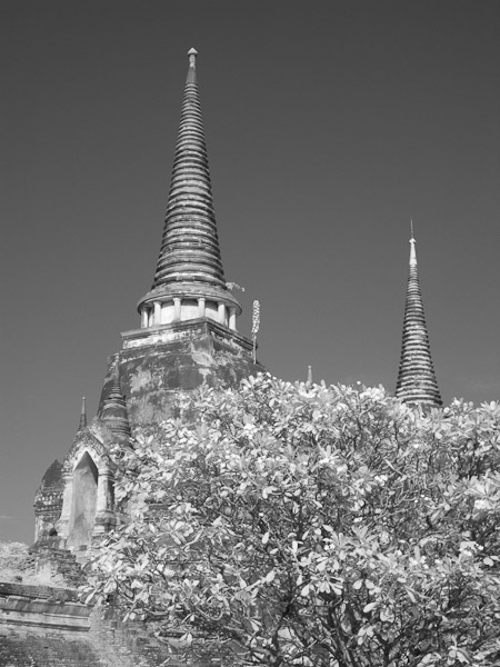 Thailand_OctNovDec_2010_Ayutthaya_Infrared_2575.jpg