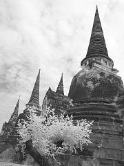 Thailand_OctNovDec_2010_Ayutthaya_Infrared_2554