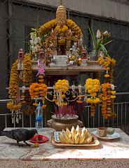 Thailnd_Bangkok_OctNovDec_2010_5871