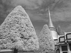 Thailand_OctNovDec_2010_Bangkok_Infrared_2384