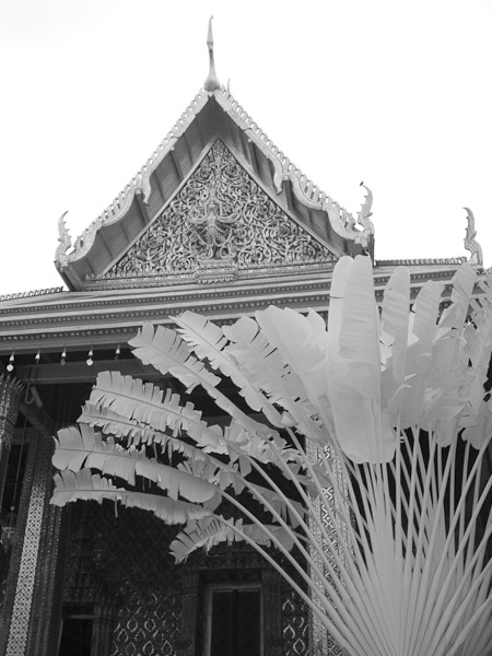 Thailand_OctNovDec_2010_Bangkok_Infrared_2457.jpg