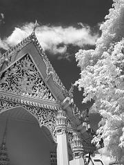 Thailand_OctNovDec_2010_Infrared_2071
