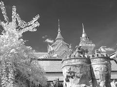 Thailand_OctNovDec_2010_Infrared_2088