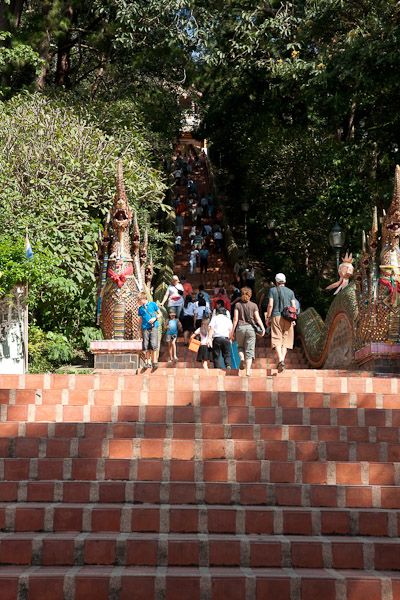Thailand_Chiang_Mai_OctNovDec_2010_4051.jpg - Entrance stairway to temple on top of  the hill.  Two 7-Headed serpents (naga) on each side of the stairway.