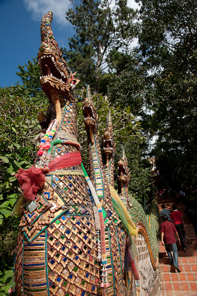 Thailand_Chiang_Mai_OctNovDec_2010_4088.jpg