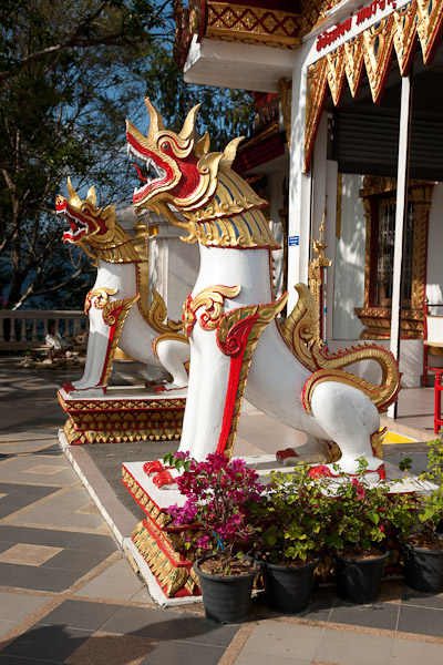 Thailand_Chiang_Mai_OctNovDec_2010_4120.jpg