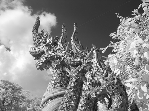 Thailand_OctNovDec_2010_Infrared_2193.jpg - Seven Headed Serpant infrared
