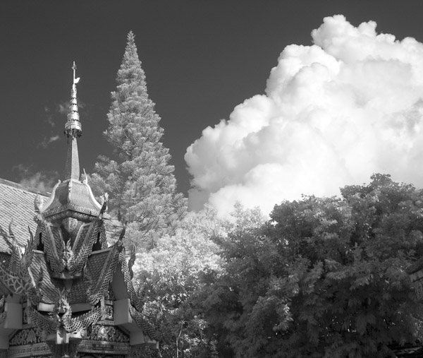 Thailand_OctNovDec_2010_Infrared_2205.jpg