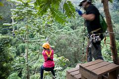 Thailand_Chiang_Mai_OctNovDec_2010_03564