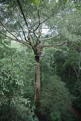 Thailand_Chiang_Mai_OctNovDec_2010_3641