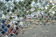 Thailand_Chiang_Mai_OctNovDec_2010_3223