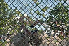 Thailand_Chiang_Mai_OctNovDec_2010_3237