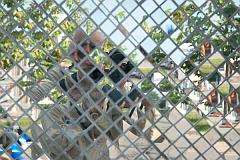 Thailand_Chiang_Mai_OctNovDec_2010_3238