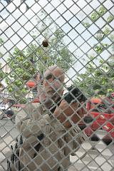 Thailand_Chiang_Mai_OctNovDec_2010_3932