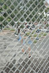 Thailand_Chiang_Mai_OctNovDec_2010_3985