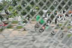 Thailand_Chiang_Mai_OctNovDec_2010_3990