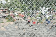 Thailand_Chiang_Mai_OctNovDec_2010_4009