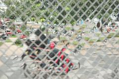 Thailand_Chiang_Mai_OctNovDec_2010_4011