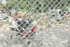 Thailand_Chiang_Mai_OctNovDec_2010_4027