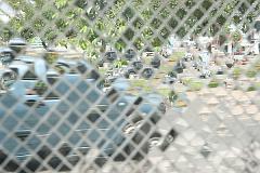 Thailand_Chiang_Mai_OctNovDec_2010_4034