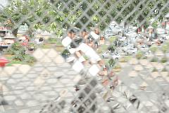 Thailand_Chiang_Mai_OctNovDec_2010_4035