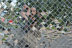 Thailand_OctNovDec_2010_Chiang_Mai_3180