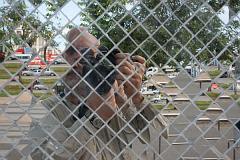 Thailand_OctNovDec_2010_Chiang_Mai_3184