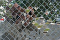 Thailand_OctNovDec_2010_Chiang_Mai_3194