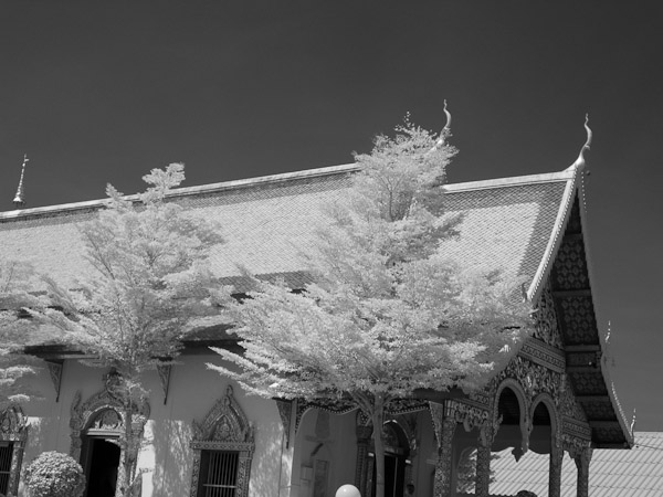 Thailand_OctNovDec_2010_Infrared_2124.jpg