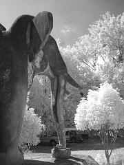 Thailand_OctNovDec_2010_Infrared_2115