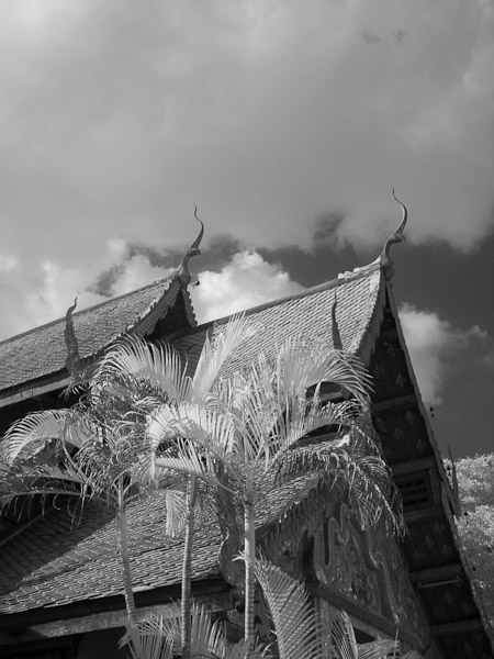 Thailand_OctNovDec_2010_Infrared_2138.jpg